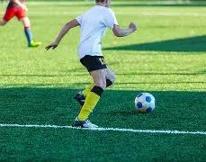 乐鱼体育,产品,乐鱼体育平台,乐鱼体育平台,乐鱼体育官方网站,乐鱼体育登录入口,乐鱼体育app下载