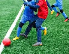 乐鱼体育,资讯,乐鱼体育平台,乐鱼体育平台,乐鱼体育官方网站,乐鱼体育登录入口,乐鱼体育app下载