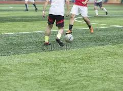 阿森纳未来,悬念揭晓,塔图姆,乐鱼体育平台,乐鱼体育官方网站,乐鱼体育登录入口,乐鱼体育app下载