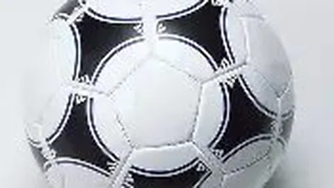 “合肥召开青少年健康成长体育促进试点工作创新研讨会”